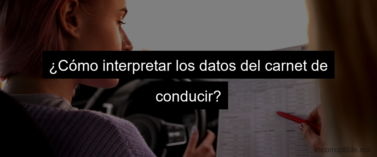 ¿Cómo interpretar los datos del carnet de conducir?