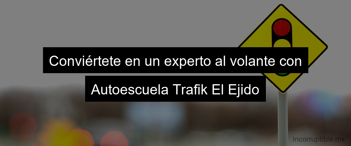 Conviértete en un experto al volante con Autoescuela Trafik El Ejido