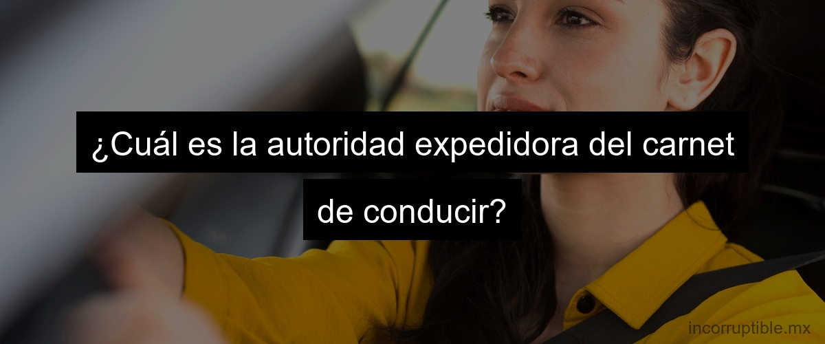 ¿Cuál es la autoridad expedidora del carnet de conducir?