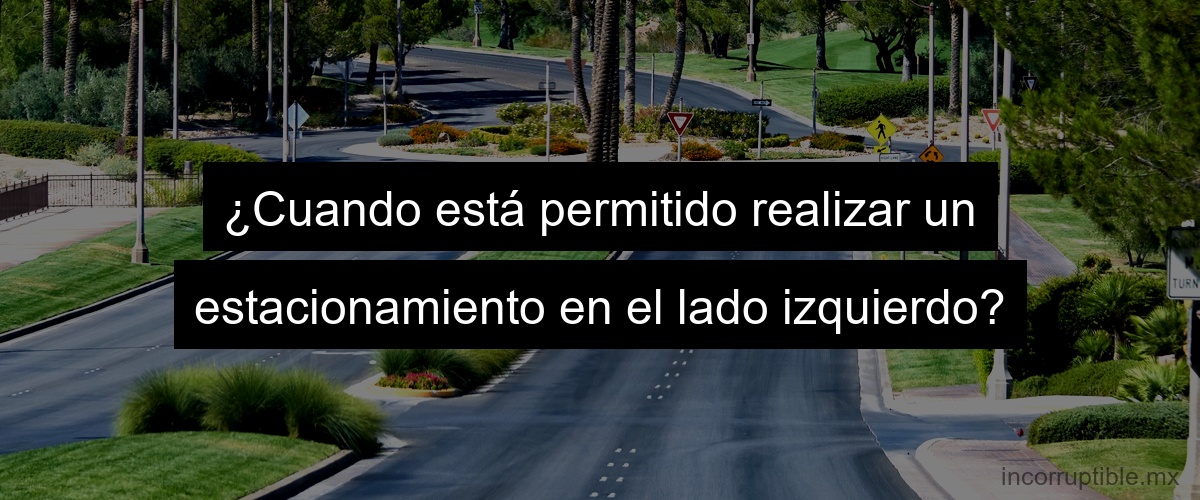 ¿Cuando está permitido realizar un estacionamiento en el lado izquierdo?