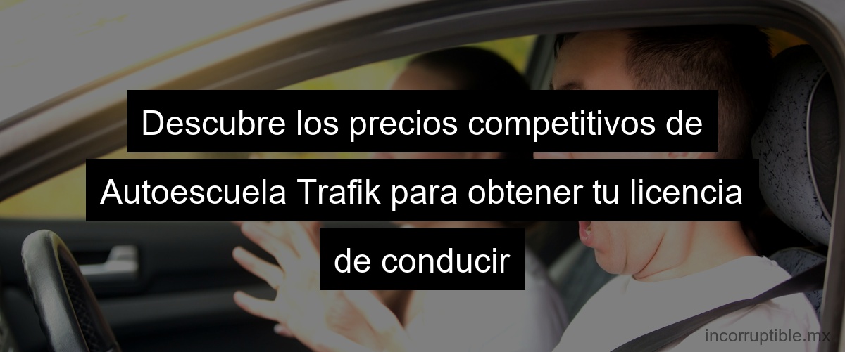 Descubre los precios competitivos de Autoescuela Trafik para obtener tu licencia de conducir