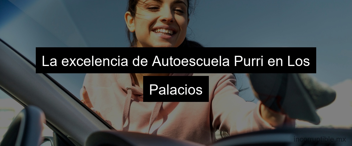 La excelencia de Autoescuela Purri en Los Palacios