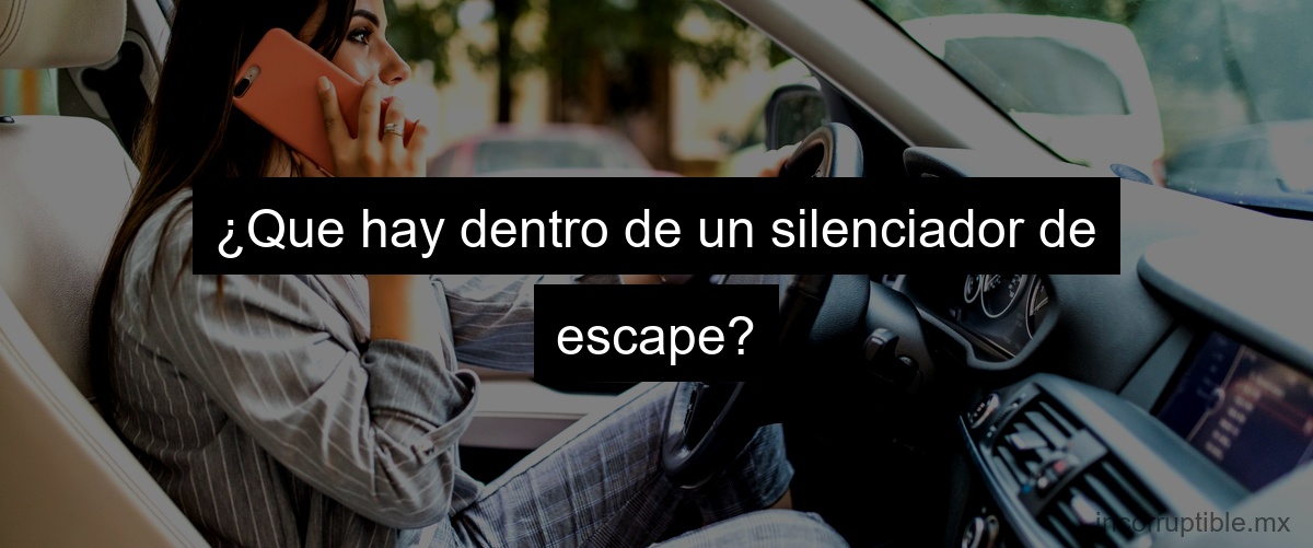 ¿Que hay dentro de un silenciador de escape?