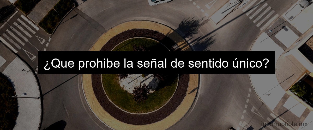 ¿Que prohibe la señal de sentido único?
