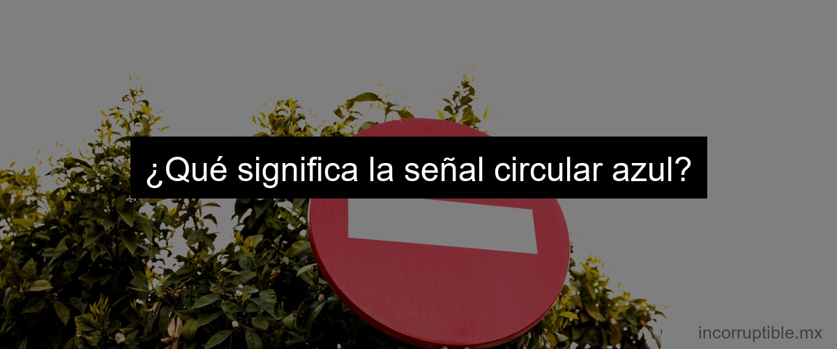 ¿Qué significa la señal circular azul?
