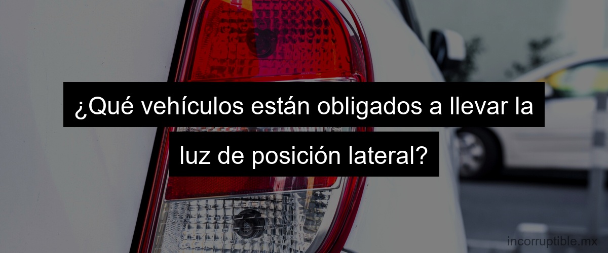 ¿Qué vehículos están obligados a llevar la luz de posición lateral?